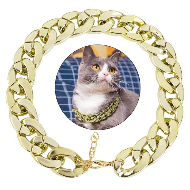 Gold Plated Chain Collar For Dogs-Paw Print Pad
