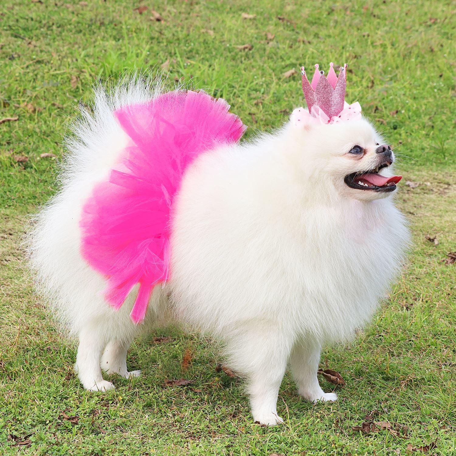 Tutu Skirts For Dogs-Paw Print Pad