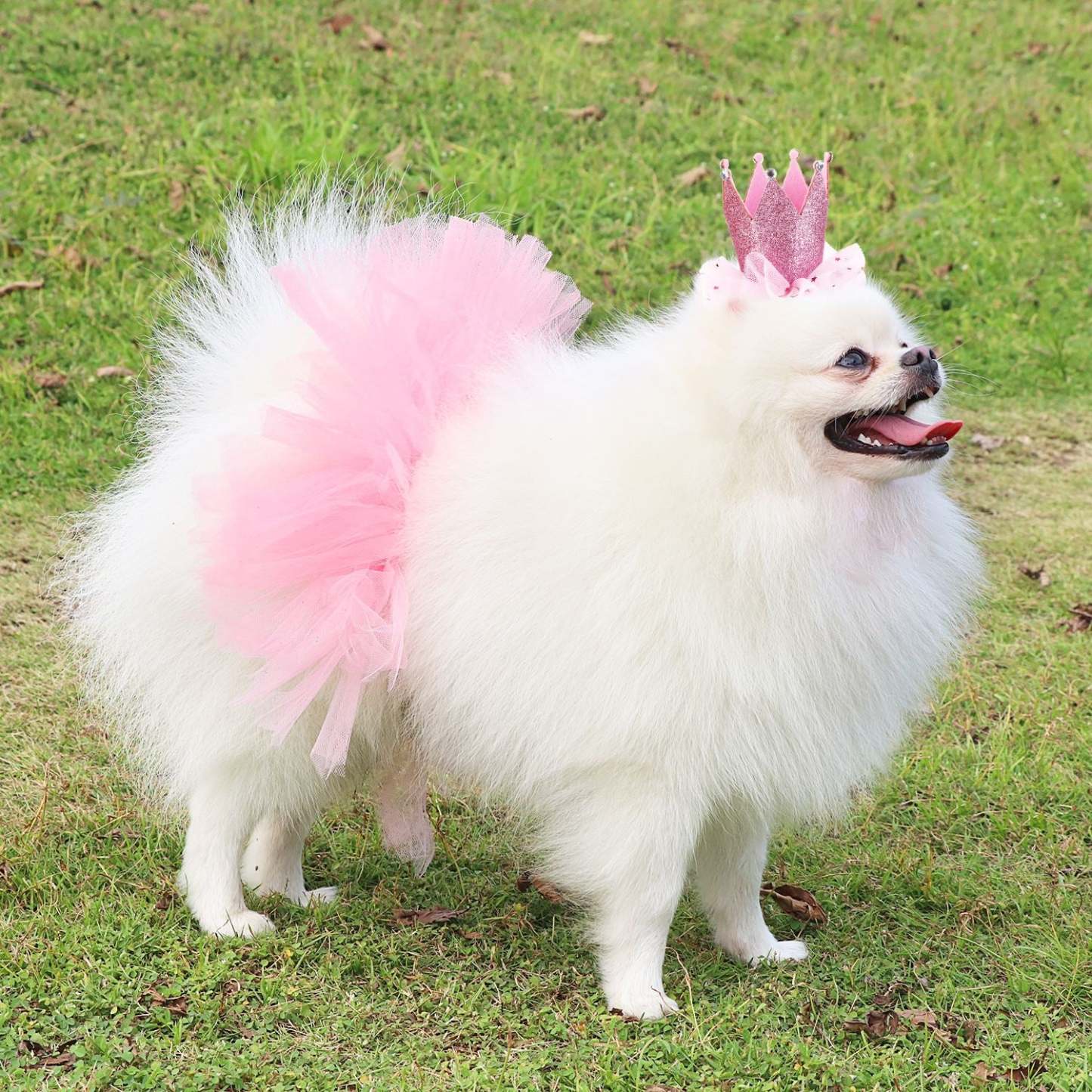 Tutu Skirts For Dogs-Paw Print Pad