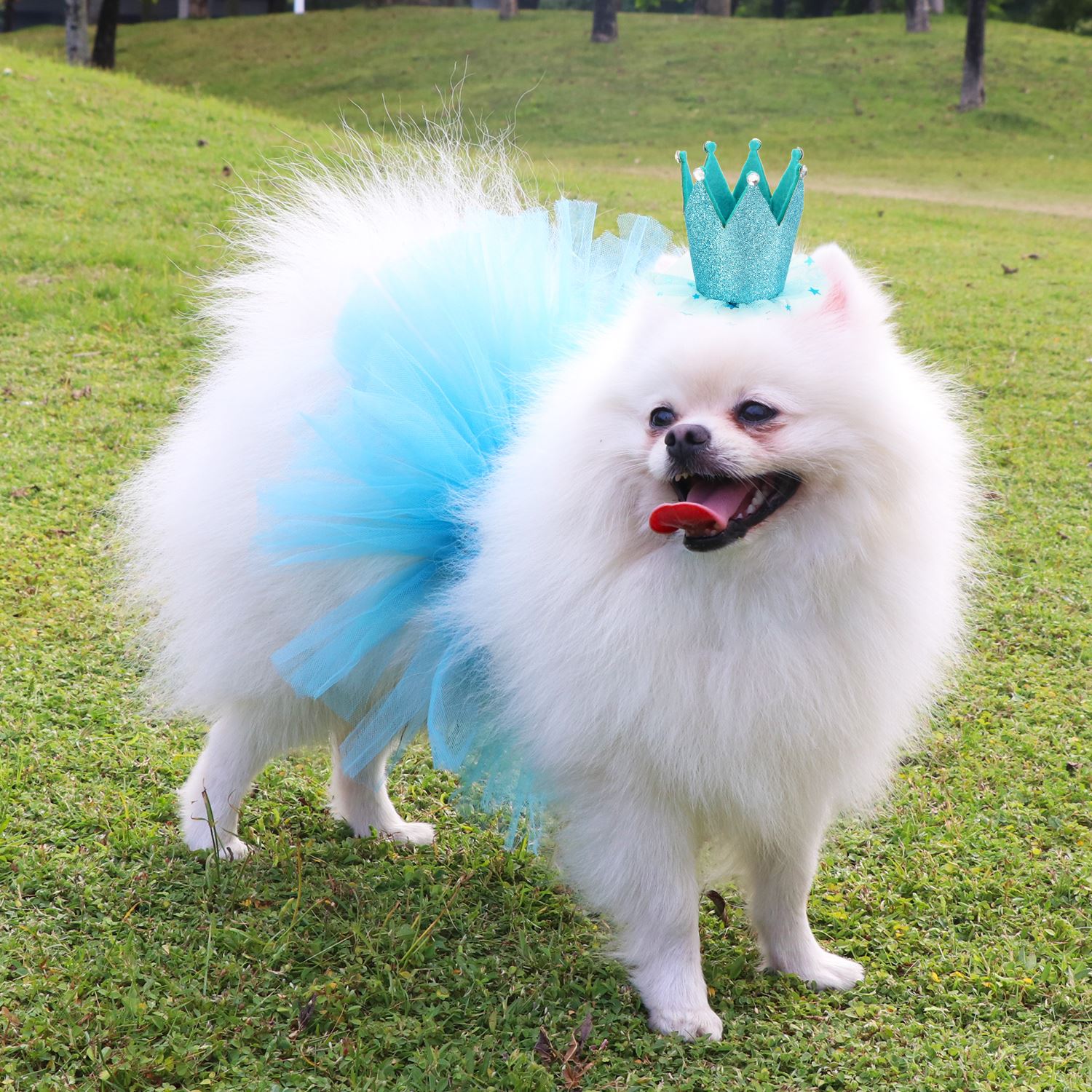 Tutu Skirts For Dogs-Paw Print Pad
