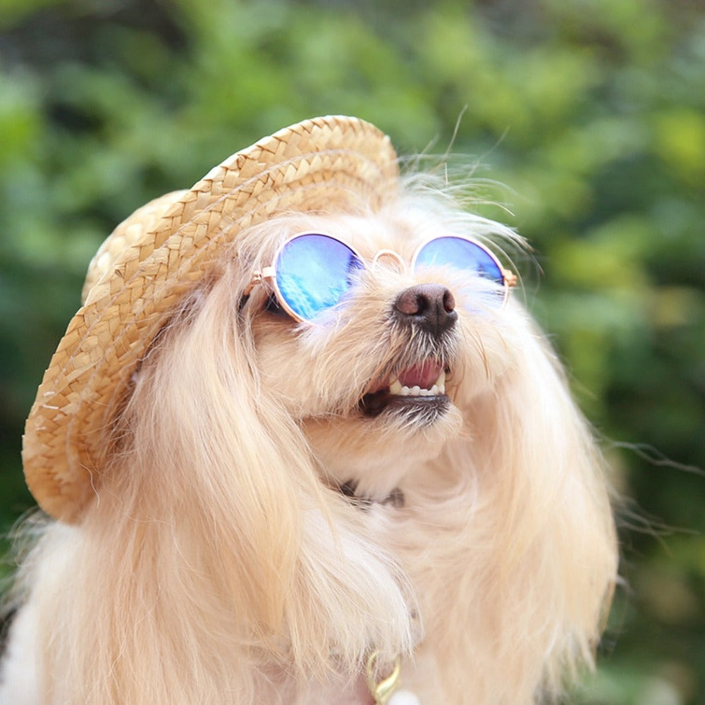 Pet Sunglasses for Dogs and Cats-Paw Print Pad