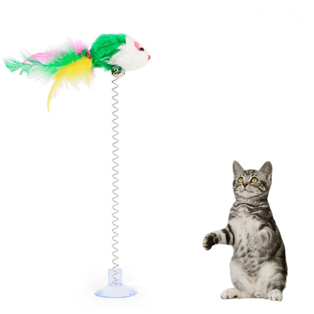 Spring Toy Feather For Cats-Paw Print Pad