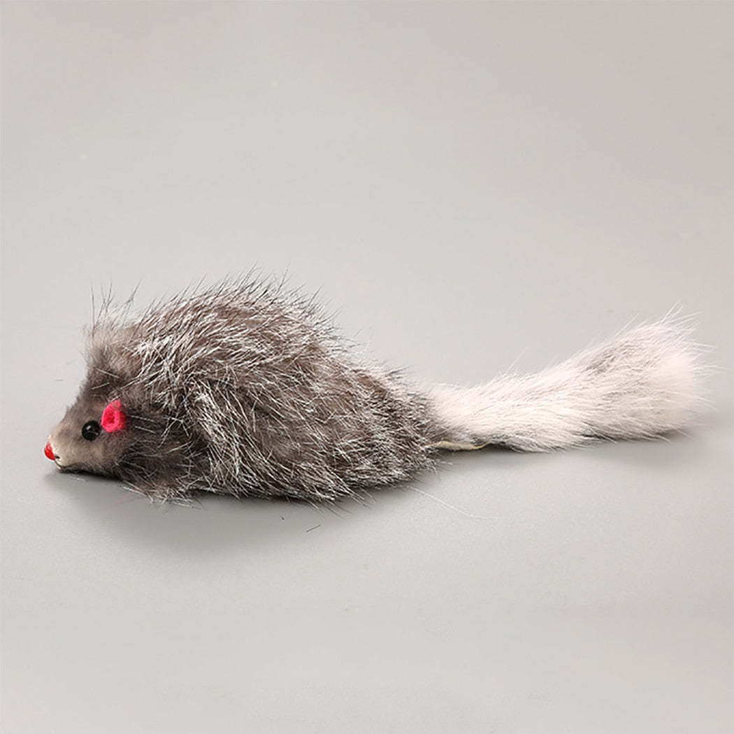 5pcs Furry Mouse Toy Set For Cats-Paw Print Pad