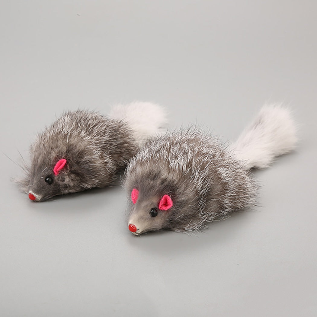 5pcs Furry Mouse Toy Set For Cats-Paw Print Pad