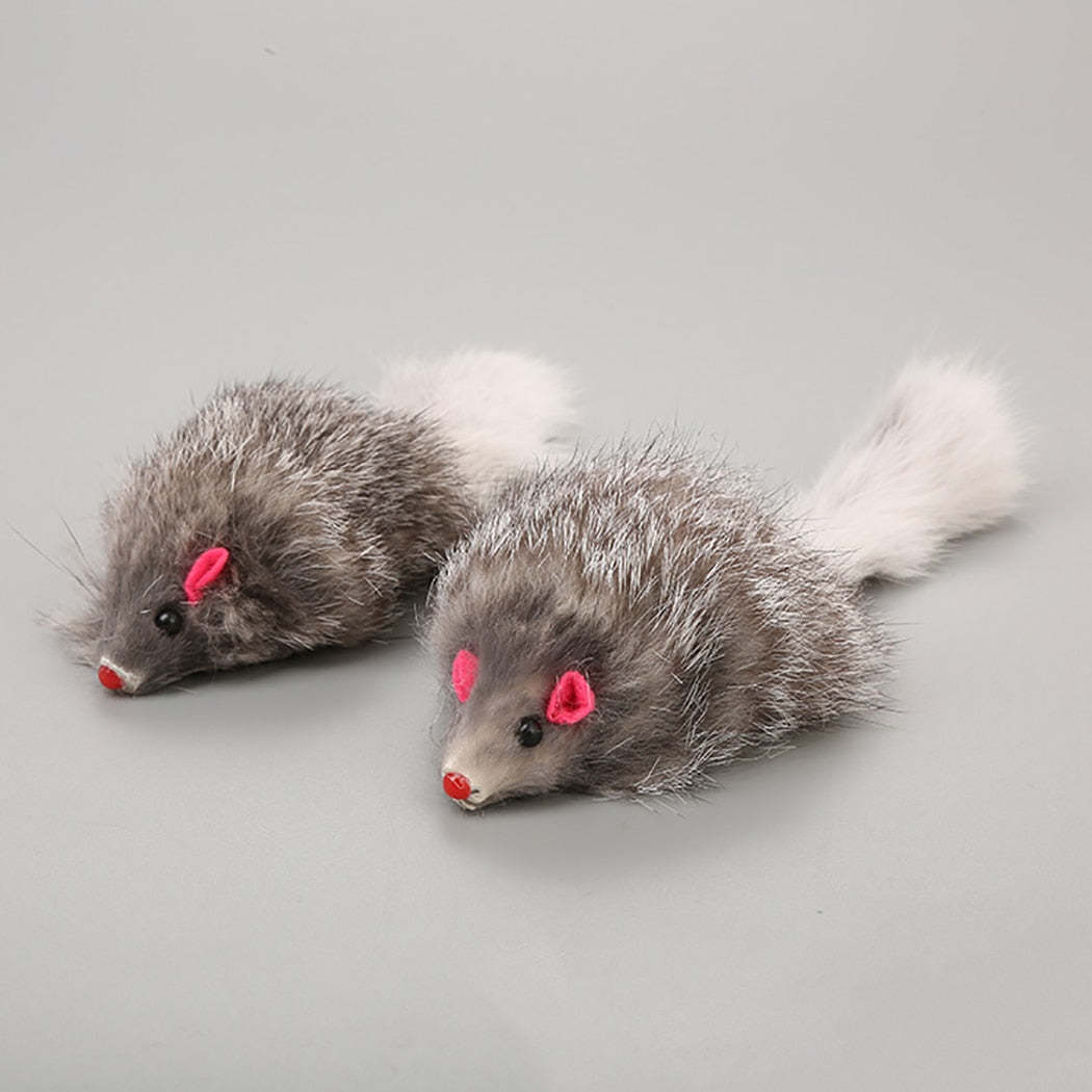 5pcs Furry Mouse Toy Set For Cats-Paw Print Pad