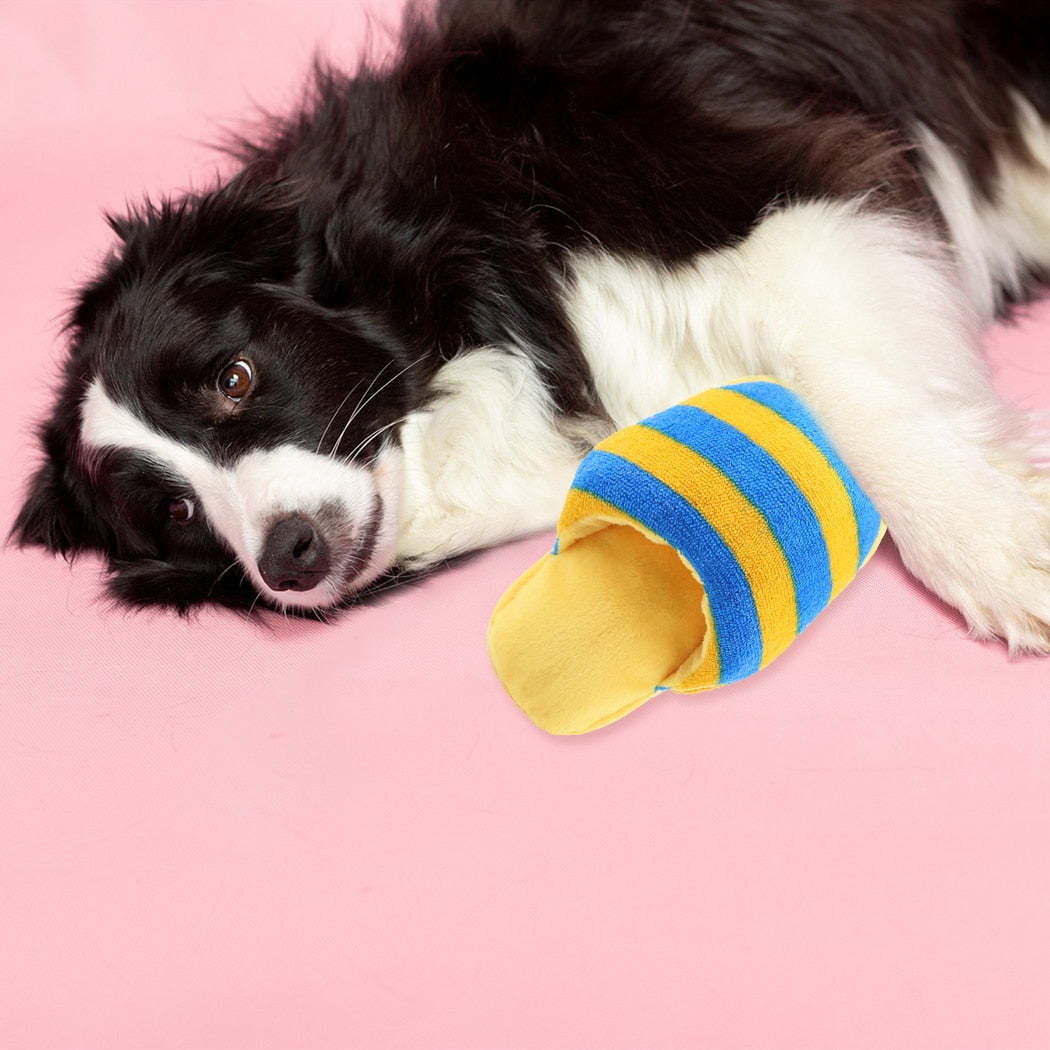 Squeaky Slipper Toy For Dogs-Paw Print Pad