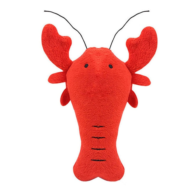 Squeaky Dog Toys