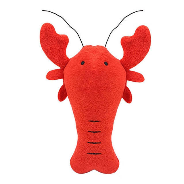 Squeaky Dog Toys