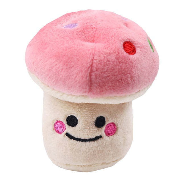 Squeaky Dog Toys