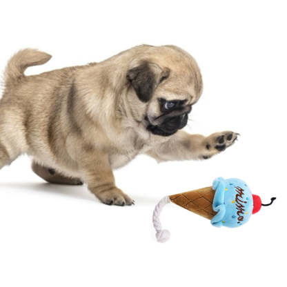 Squeaky Ice Cream Toy For Dogs-Paw Print Pad