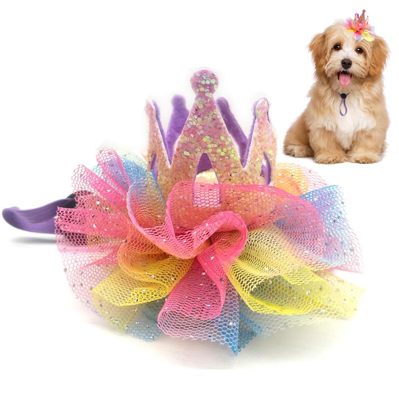 Crown Hat For Dogs-Paw Print Pad