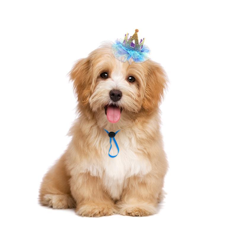 Crown Hat For Dogs-Paw Print Pad