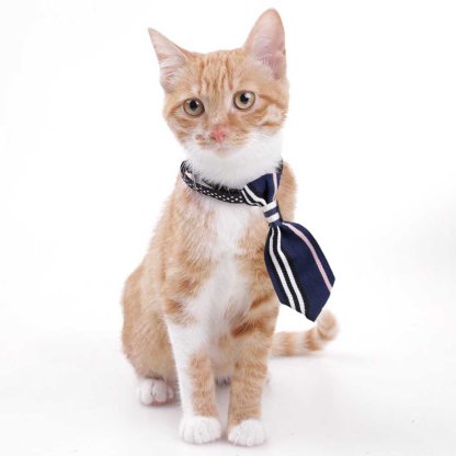 Cat Costume Accessories-Paw Print Pad