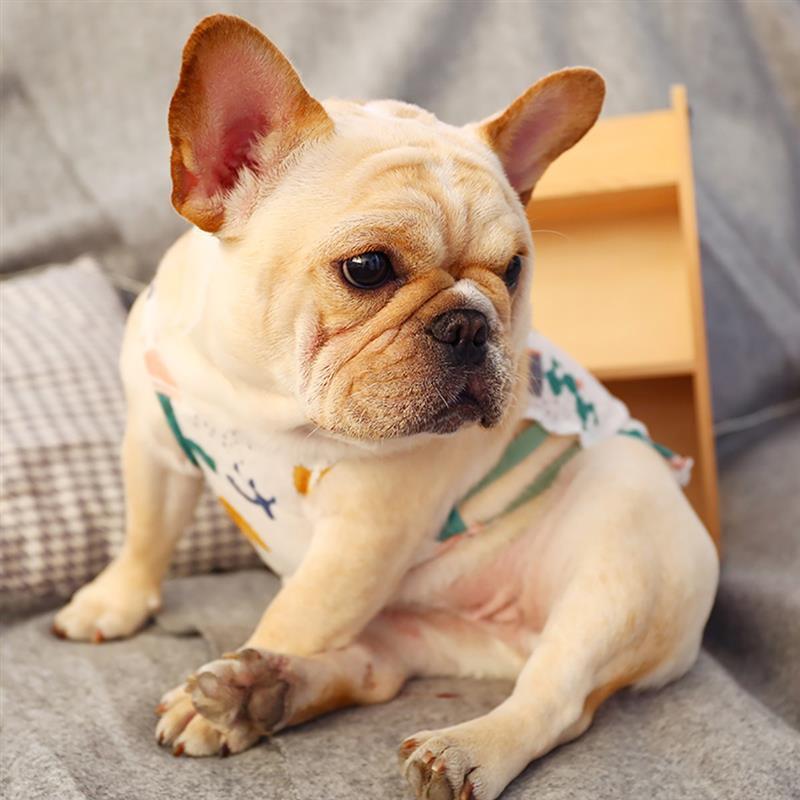 Hawaiian Dog Vest-Paw Print Pad