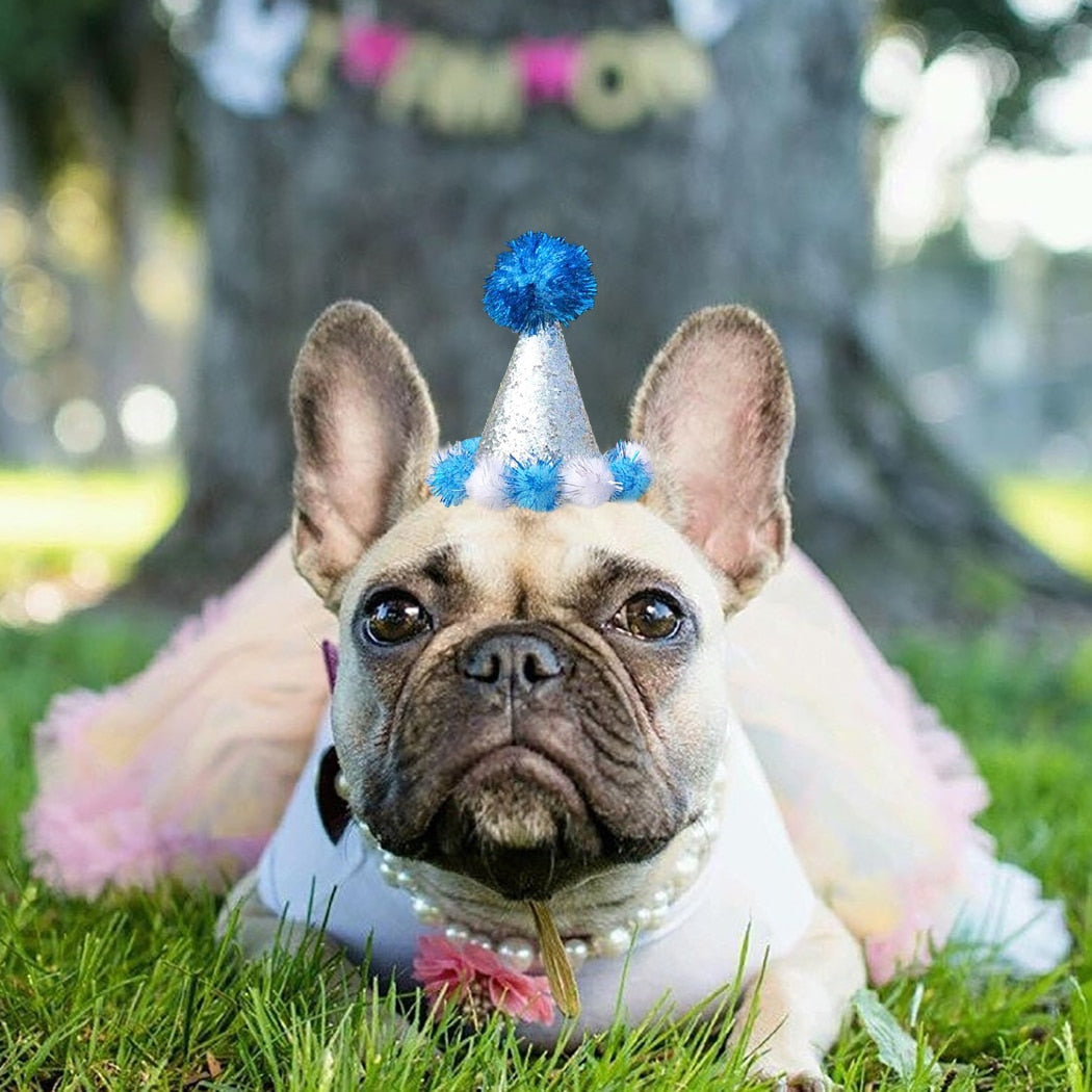 Birthday Pom Pom Cone for Dogs-Paw Print Pad