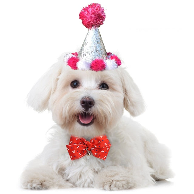 Birthday Pom Pom Cone for Dogs-Paw Print Pad