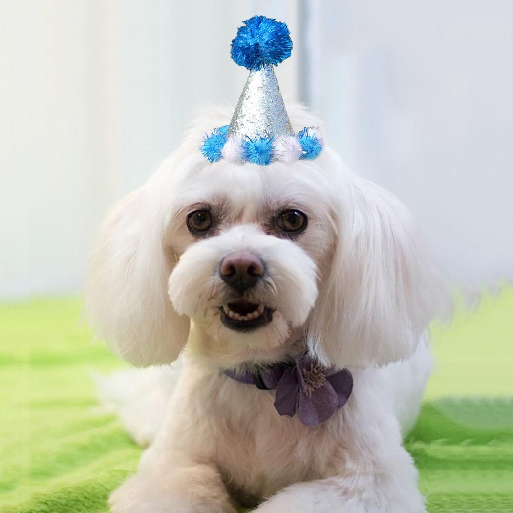 Birthday Pom Pom Cone for Dogs-Paw Print Pad