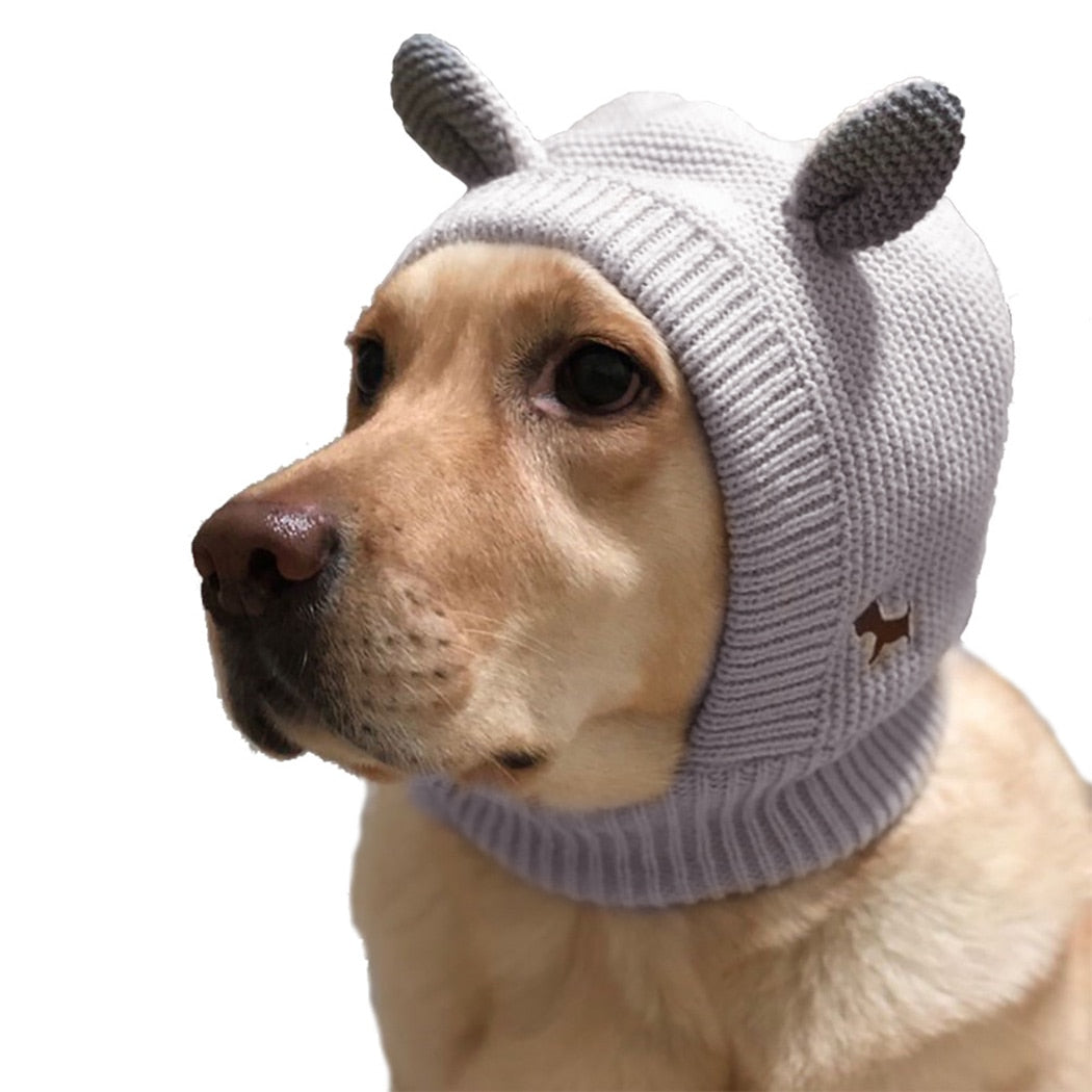Knitted Hat For Dogs-Paw Print Pad