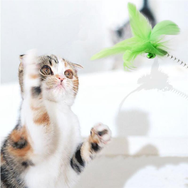 Feather Toy With Bell For Cats-Paw Print Pad