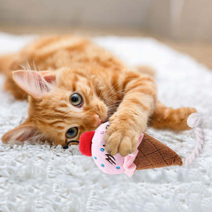 Squeaky Ice Cream Toy For Dogs-Paw Print Pad