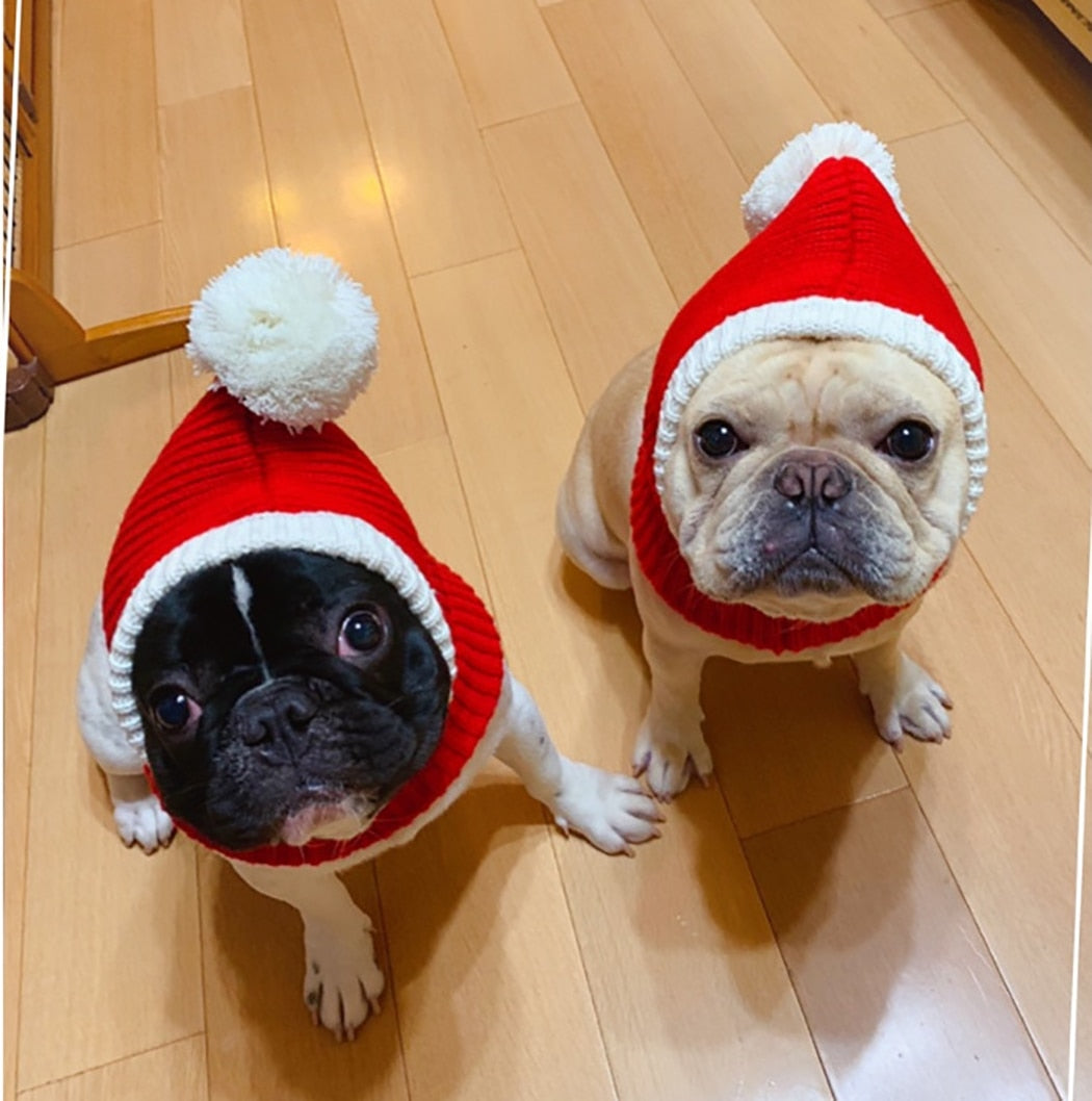 Knitted Warm Hat For Dogs-Paw Print Pad