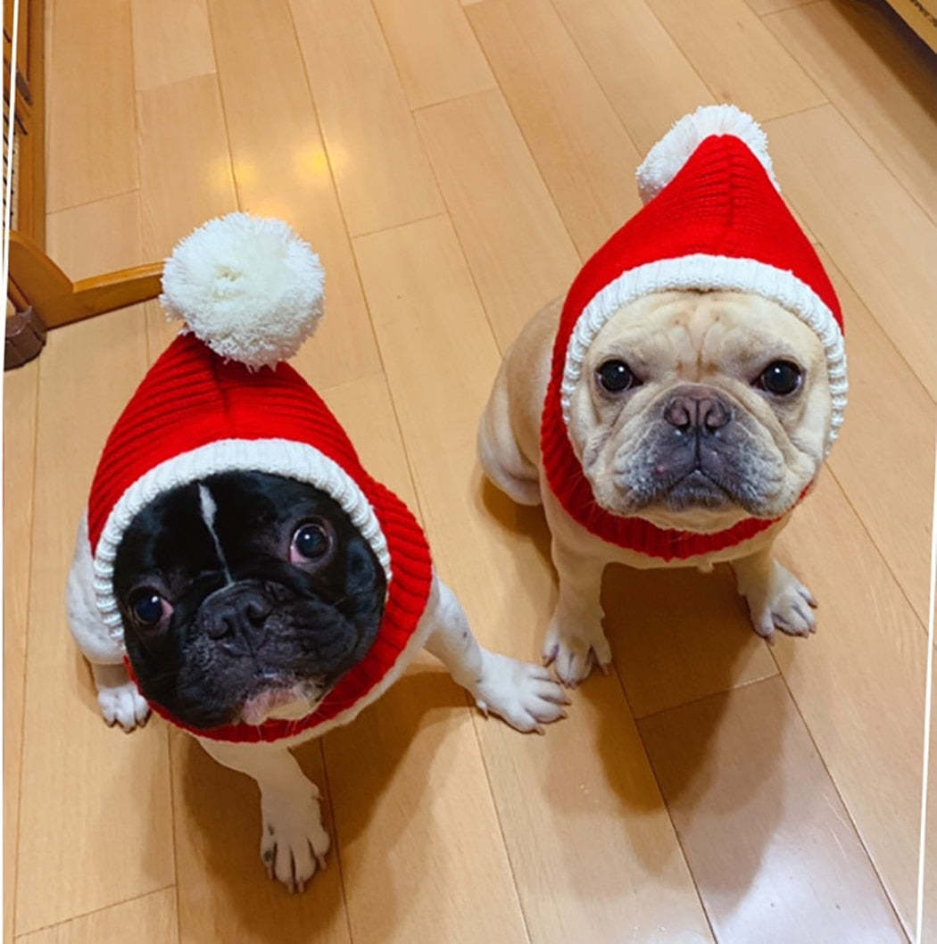 Knitted Warm Hat For Dogs-Paw Print Pad