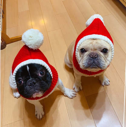 Knitted Warm Hat For Dogs-Paw Print Pad