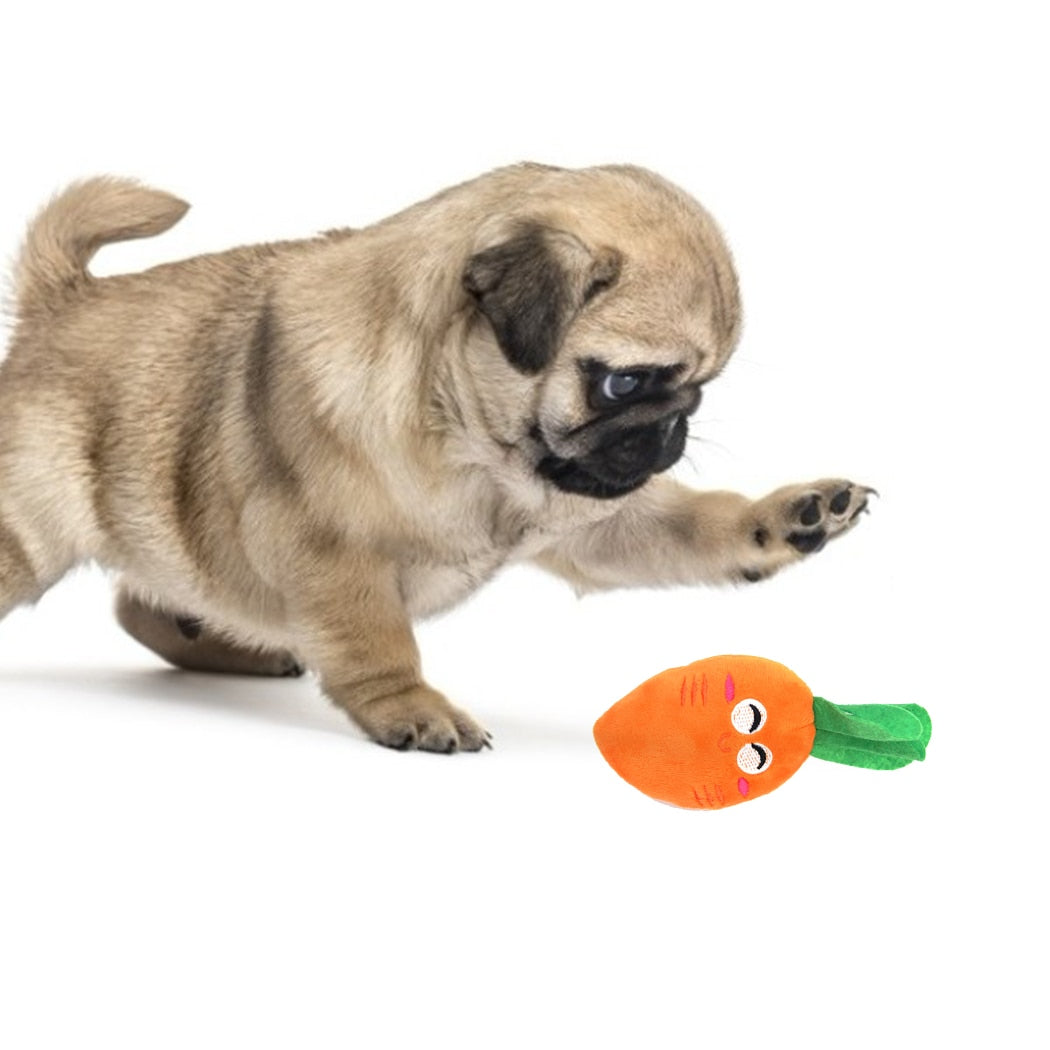 Stuffed Carrot Squeaking Toys For Dogs-Paw Print Pad