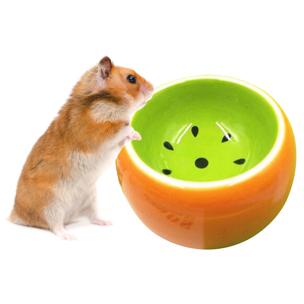 Fruit Pattern Bowl for Hamsters-Paw Print Pad