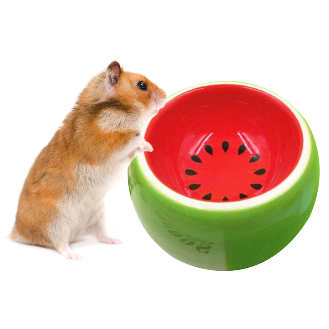 Fruit Pattern Bowl for Hamsters-Paw Print Pad
