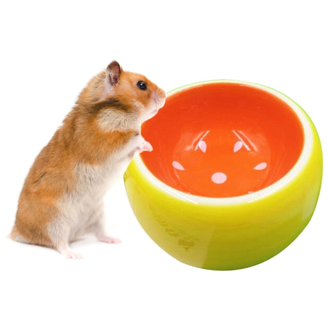 Fruit Pattern Bowl for Hamsters-Paw Print Pad