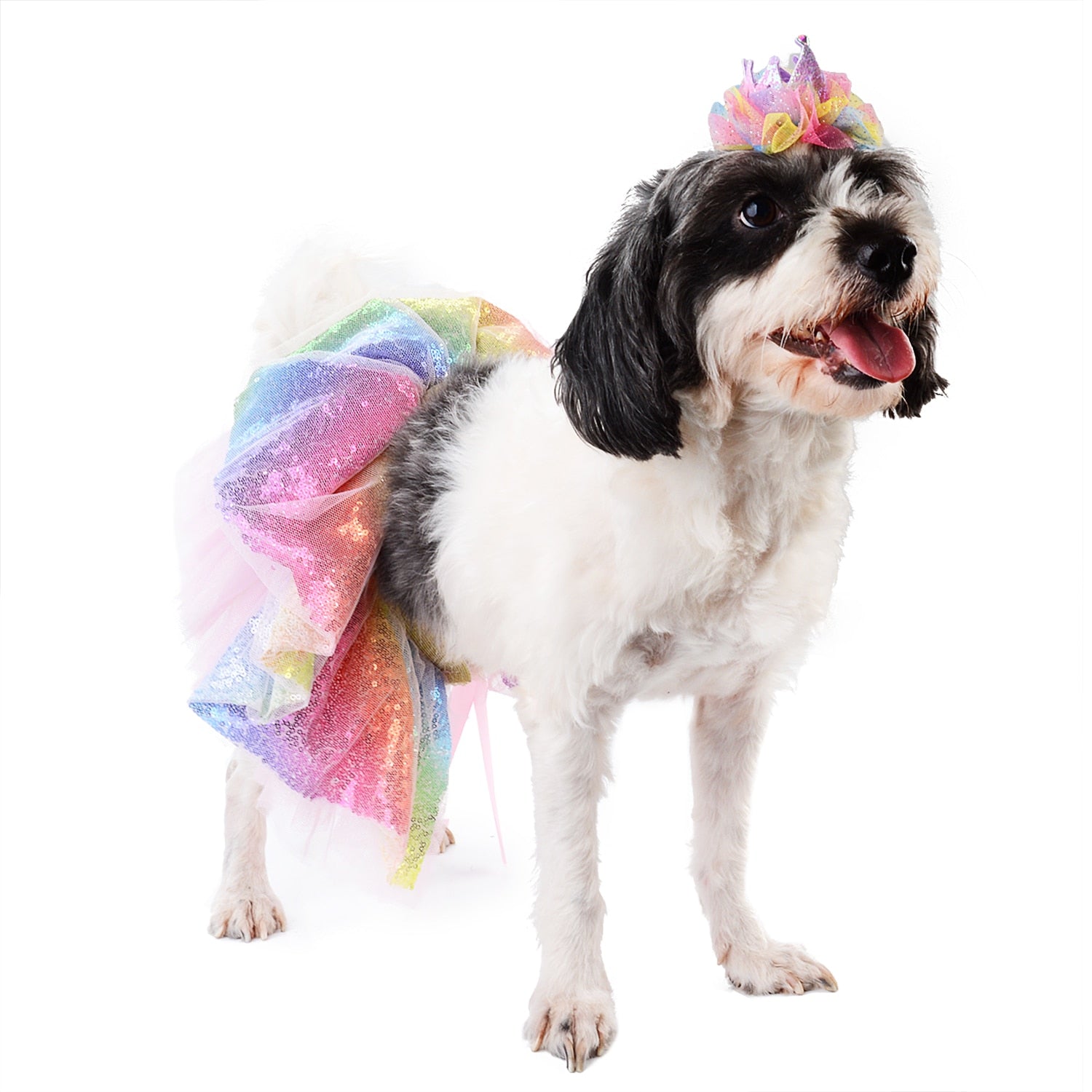Sequin Tutu Skirt For Dogs-Paw Print Pad
