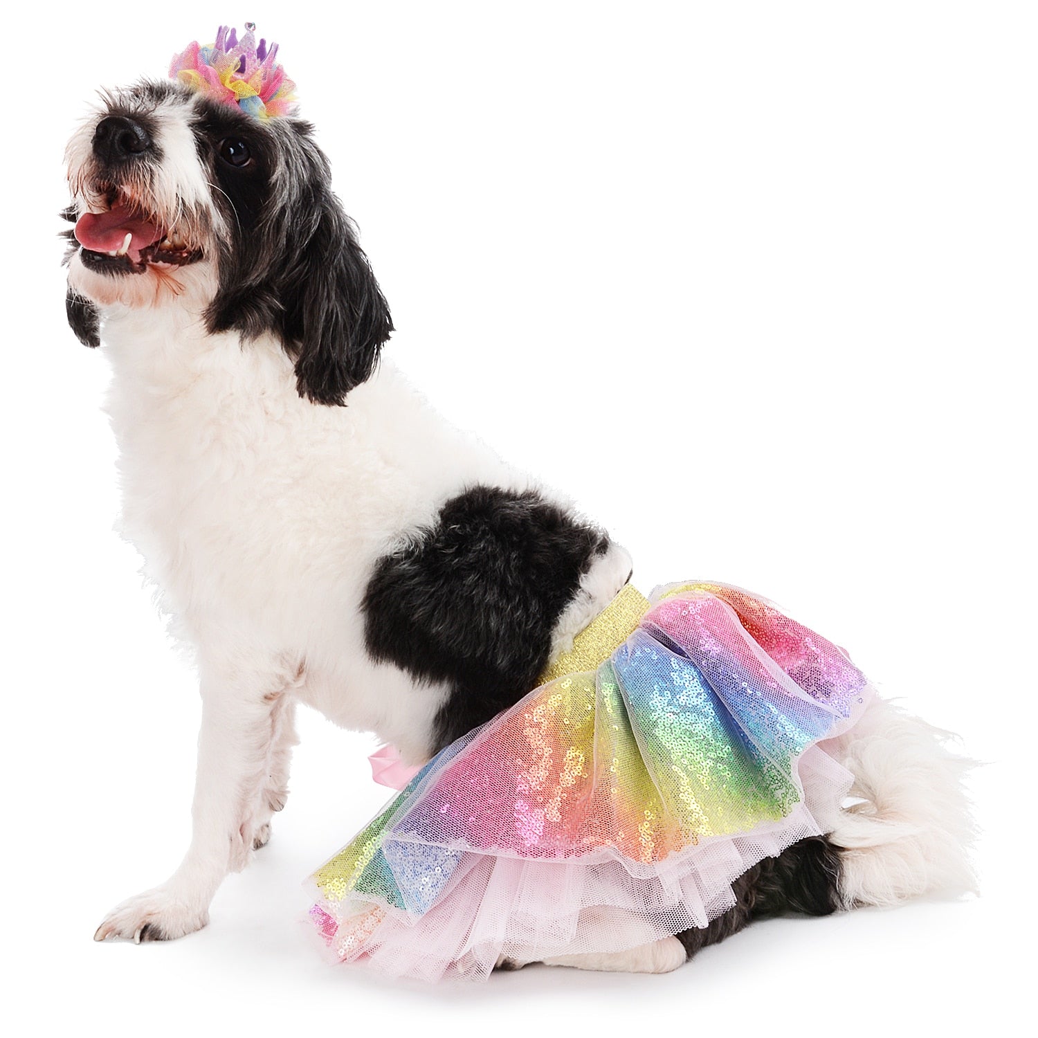 Sequin Tutu Skirt For Dogs-Paw Print Pad