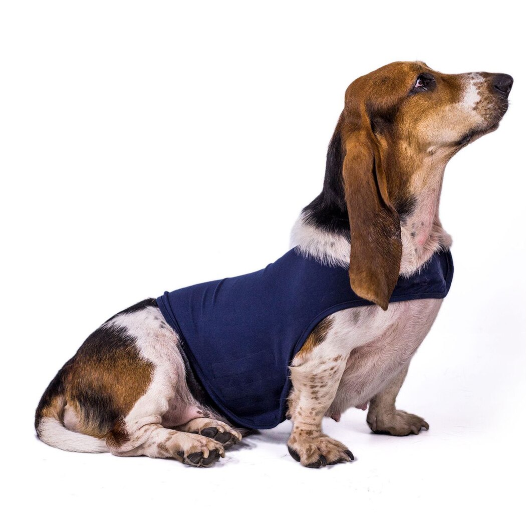 Vest For Dogs-Paw Print Pad