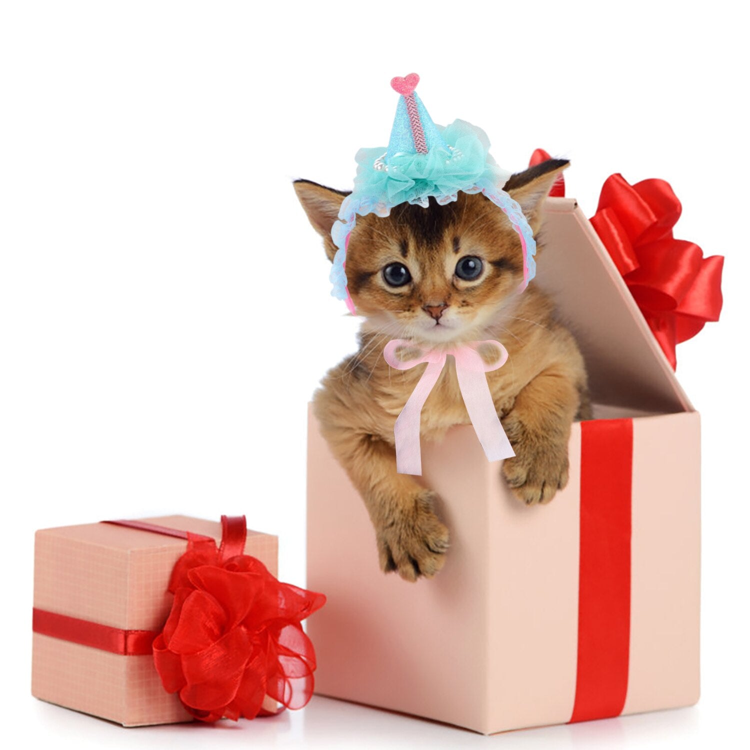 Costume Headband For Cat-Paw Print Pad