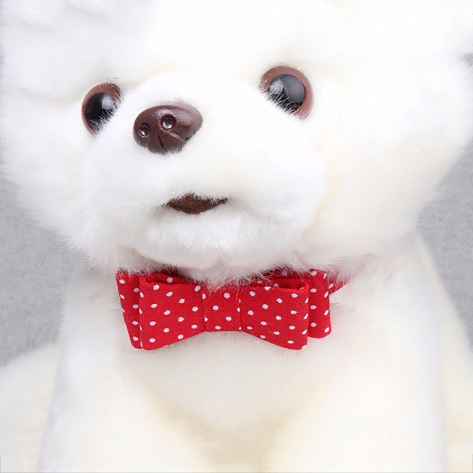 Floral Printed Adjustable Collar for Dog-Paw Print Pad