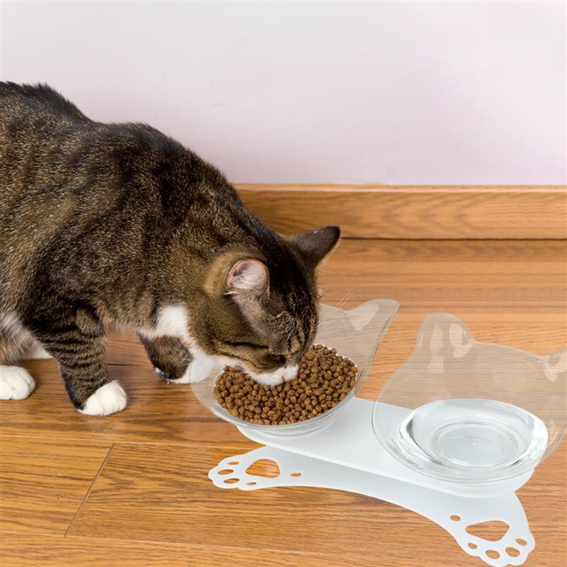 Tilting Bowls For Cats-Paw Print Pad