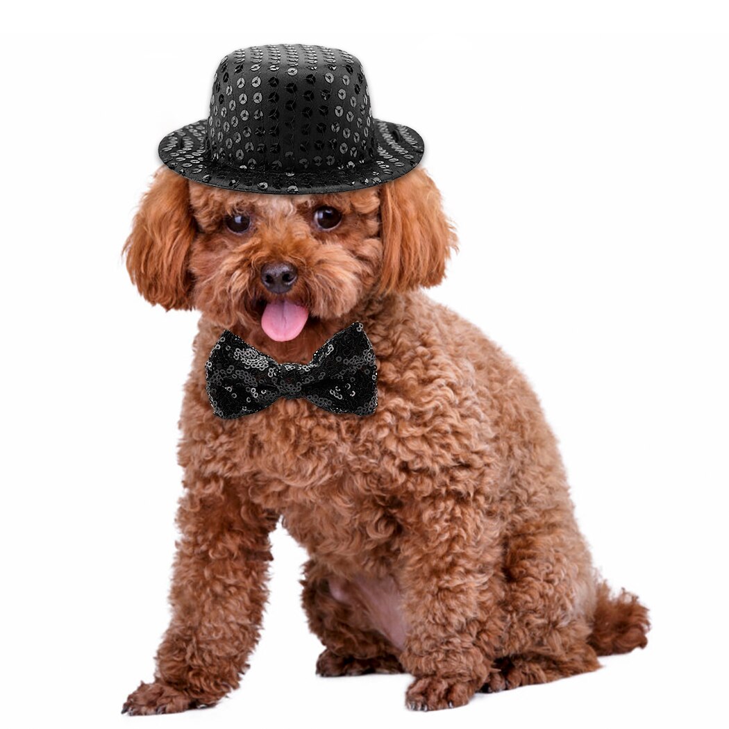 Black Sequins Top Hat With Bow Tie Set For Dogs-Paw Print Pad
