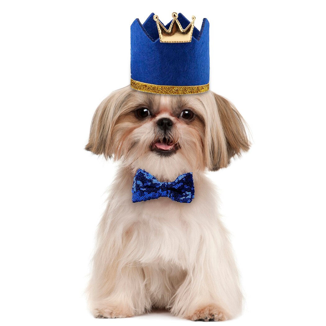 Black Sequins Top Hat With Bow Tie Set For Dogs-Paw Print Pad