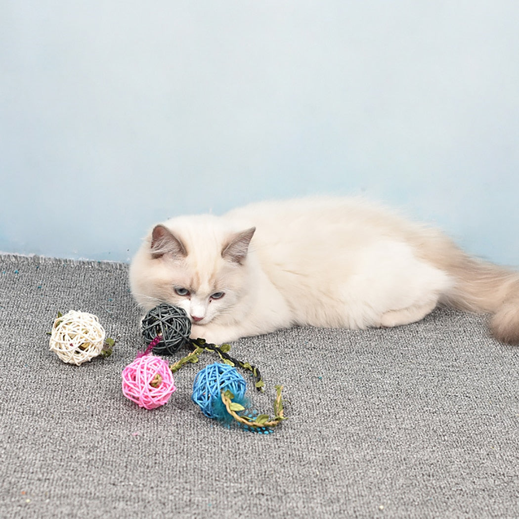 4 Piece Toy Balls Set For Cat-Paw Print Pad