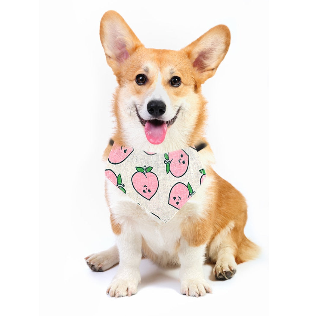 Adjustable Fruit Bandanas for Dogs-Paw Print Pad