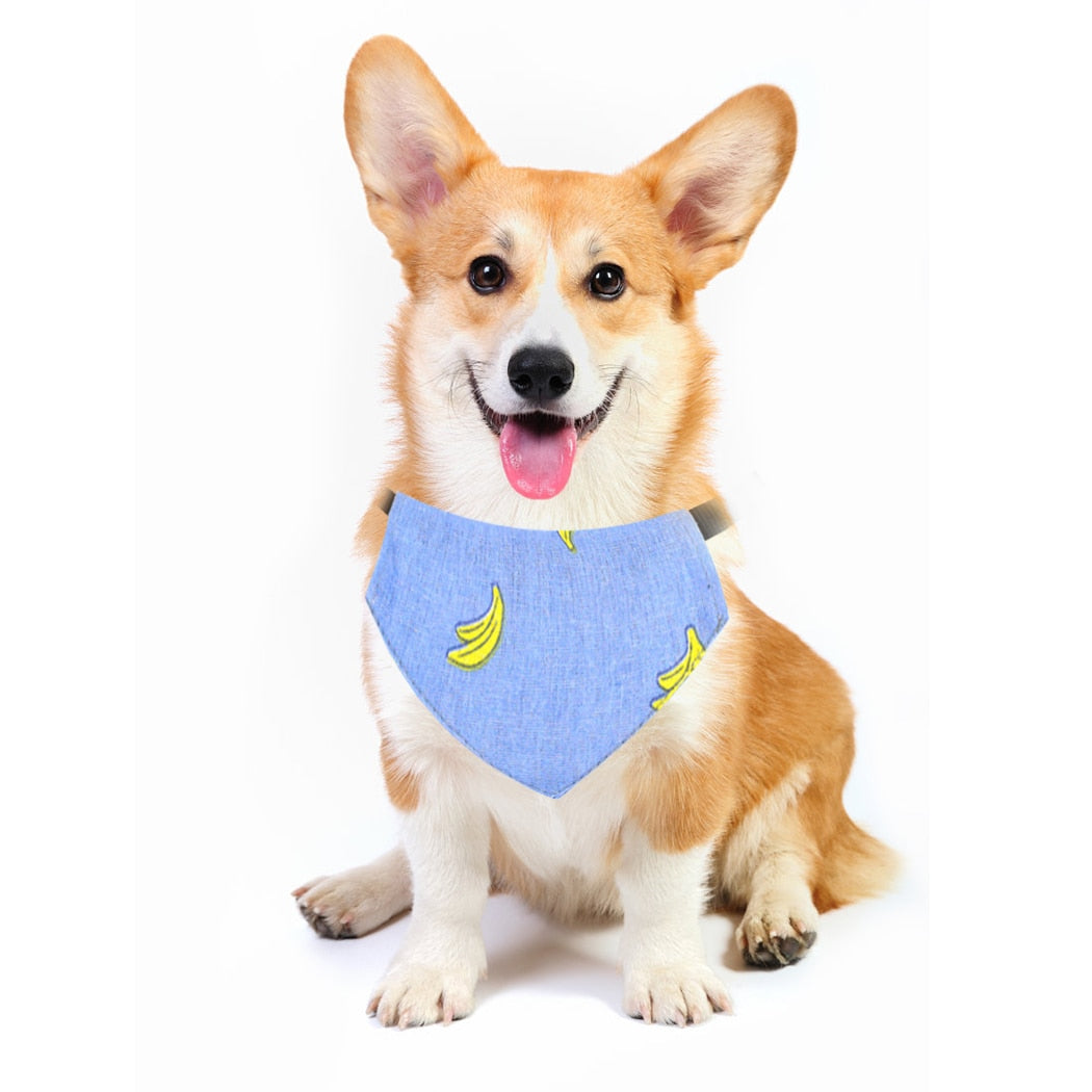 Adjustable Fruit Bandanas for Dogs-Paw Print Pad
