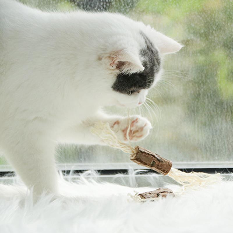 2Pcs Catnip Chew Toy for Cat-Paw Print Pad