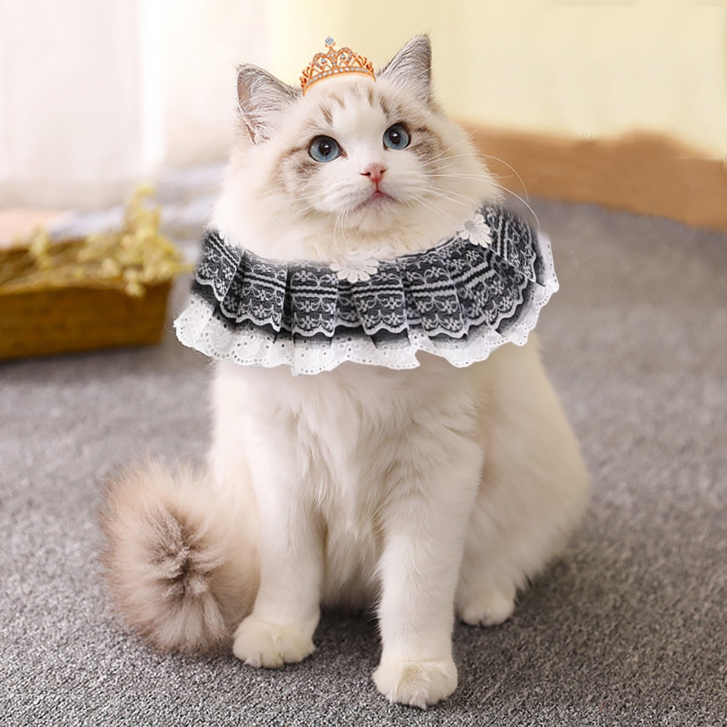 Lace Adjustable Collar For Cat-Paw Print Pad