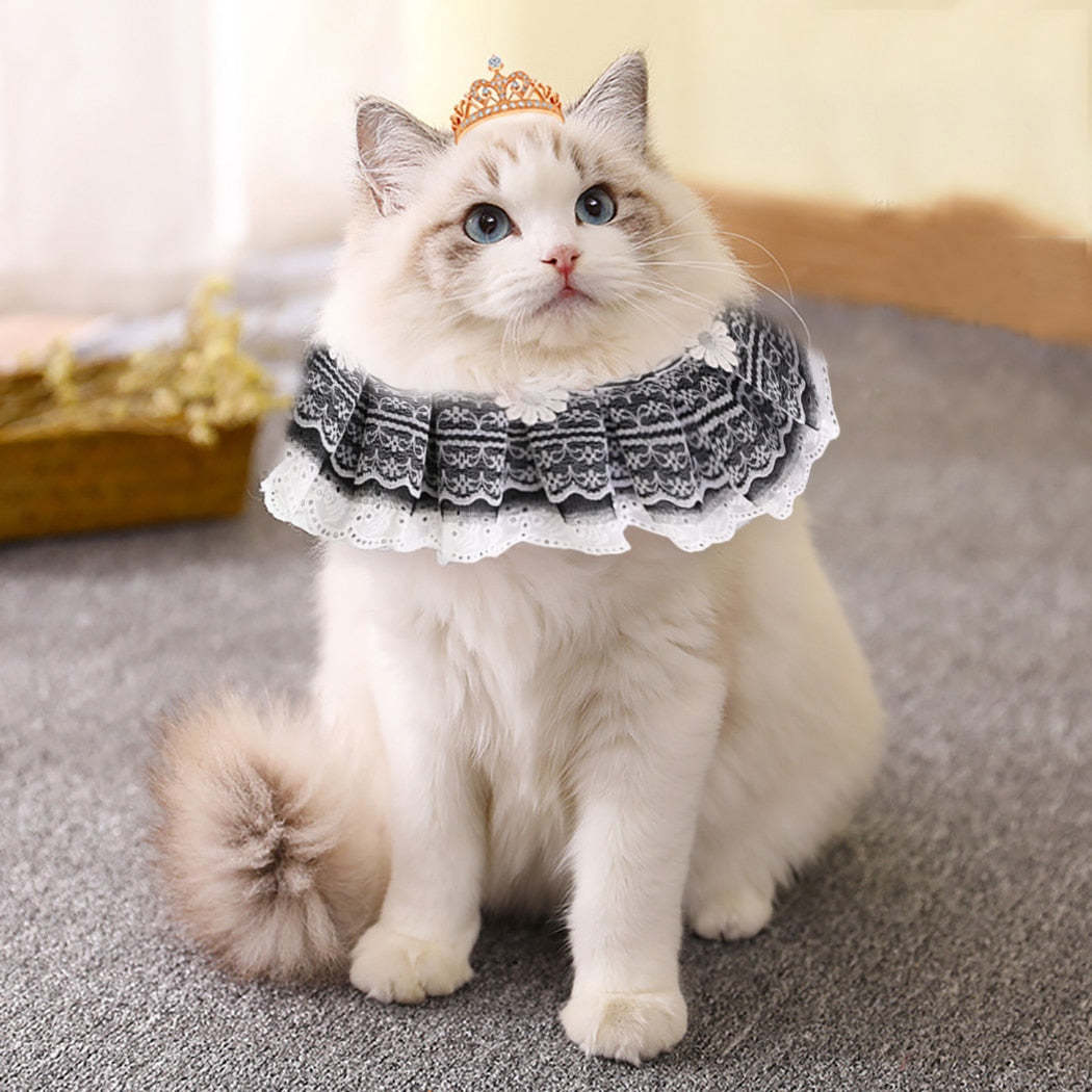 Lace Adjustable Collar For Cat-Paw Print Pad