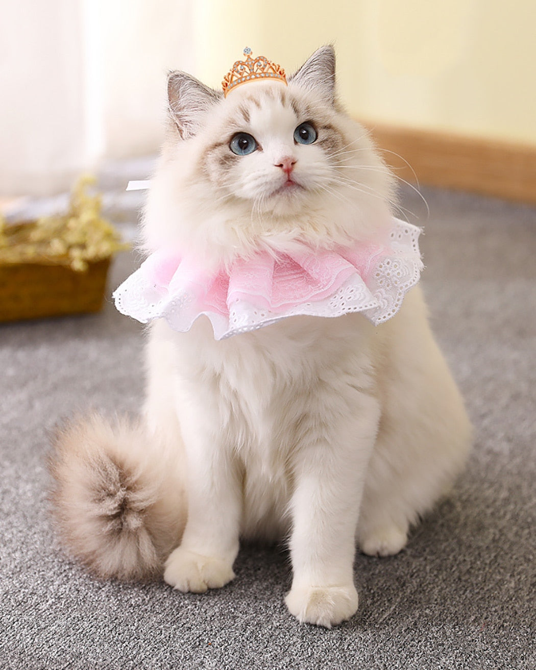 Lace Adjustable Collar For Cat-Paw Print Pad