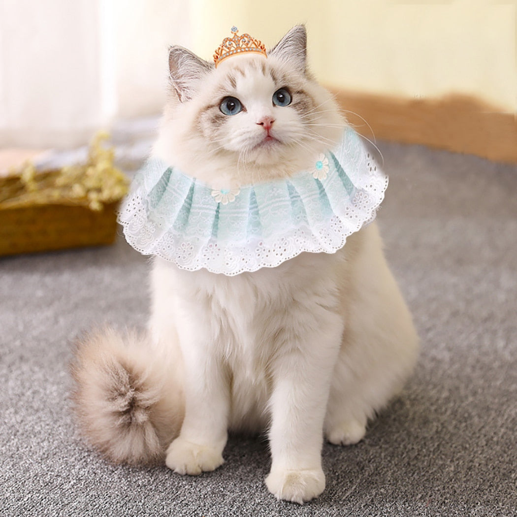 Lace Adjustable Collar For Cat-Paw Print Pad