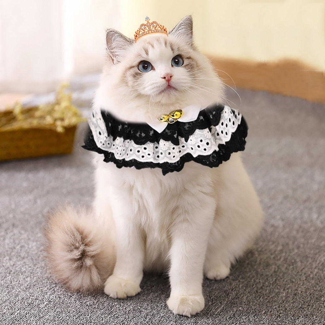 Lace Adjustable Collar For Cat-Paw Print Pad