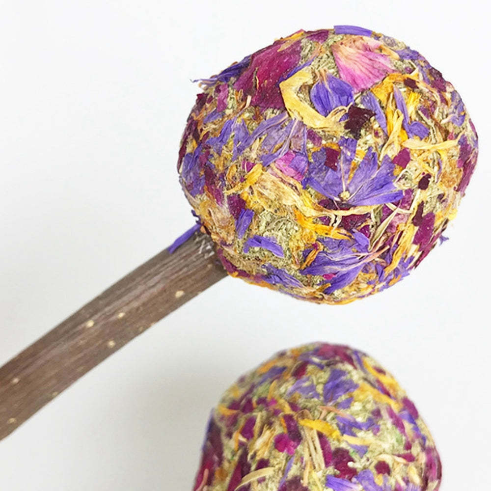 12Pcs Treats For Rabbit-Paw Print Pad