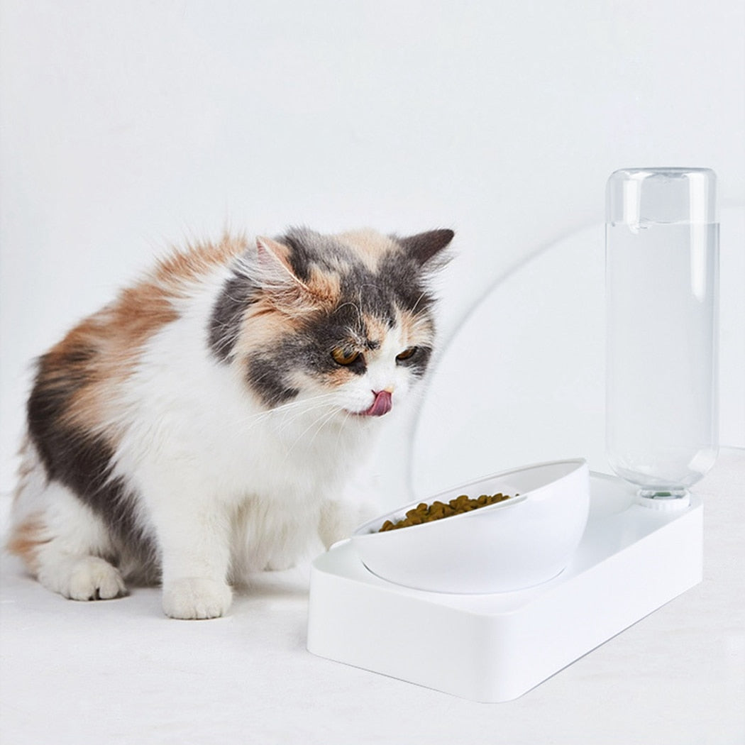 2 In 1 Adjustable Food Bowl With Water Bottle For Cat-Paw Print Pad